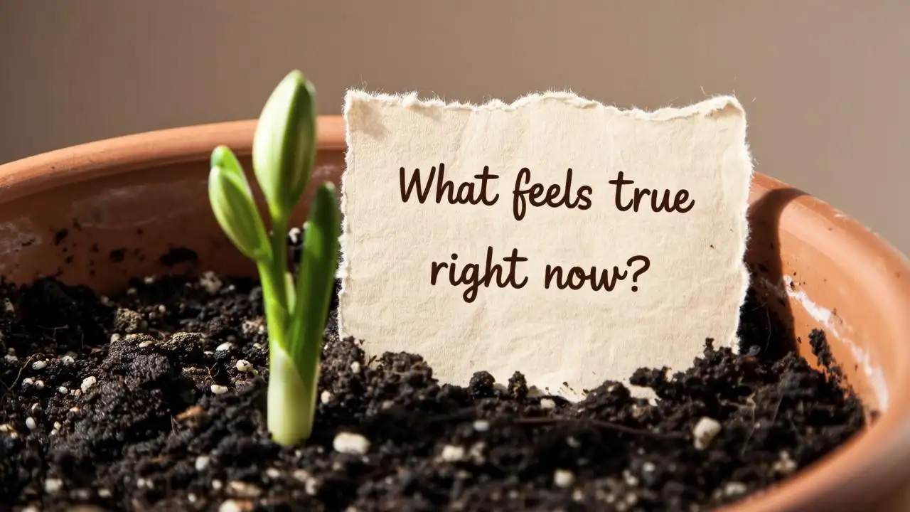 A close-up of fertile dark soil in a simple terracotta pot, with one fresh green sprout emerging under soft diffused daylight. Beside it rests a folded piece of handmade paper with a single handwritten sentence in gentle cursive: 'What feels true right now?' Warm ambient light, shallow focus, tactile realism, symbolic of the January 12, 2026 Capricorn New Moon — grounded, humble, full of quiet potential. No people, no tools, no labels.